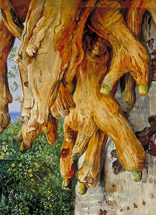 Cluster of Air-Roots of a Dragon Tree, Teneriffe, 1875, Marianne North