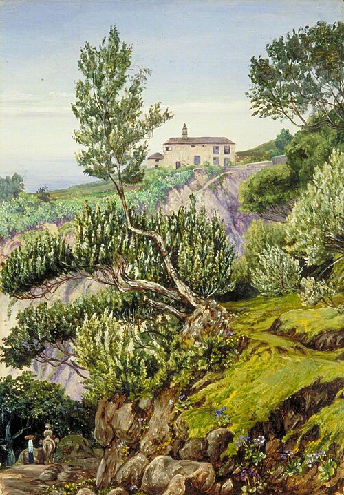 Old Manor of Castro, Teneriffe, 1875, Marianne North