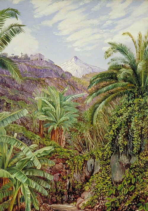 View of the Peak from the Bridge of Icod, Teneriffe, 1875, Marianne North