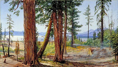 Lake Tahoe, California, 1875, Marianne North