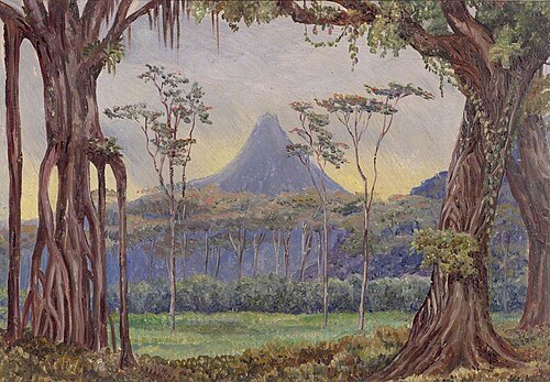 Krakatau Volcano, Ngantang, Java, 1876, Marianne North