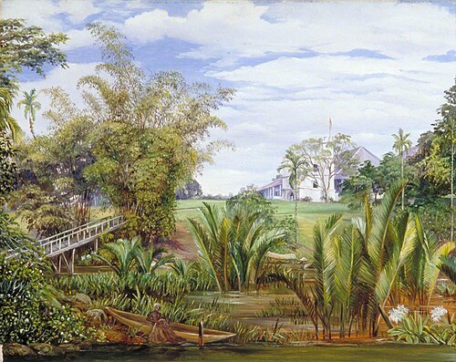 The Istana from the Slanting Bridge, Sarawak, Borneo, 1876, Marianne North