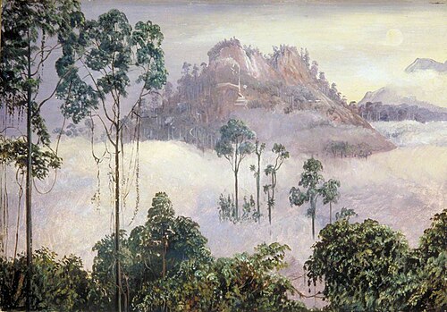 The Quicksilver Mountain of Tegora, Sarawak, Borneo, by Moonlight, 1876, Marianne North