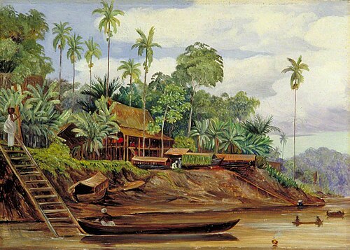 River Scene at Sarawak, Borneo, when the Tide is Getting Low, 1876, Marianne North