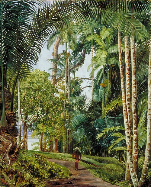 Walk under Palms with a Glimpse of the River at Sarawak, Borneo, 1876, Marianne North