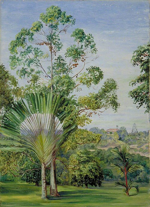 View of the Maharajah of Johore's House from Major McNair's Garden, Singapore, 1876, Marianne North