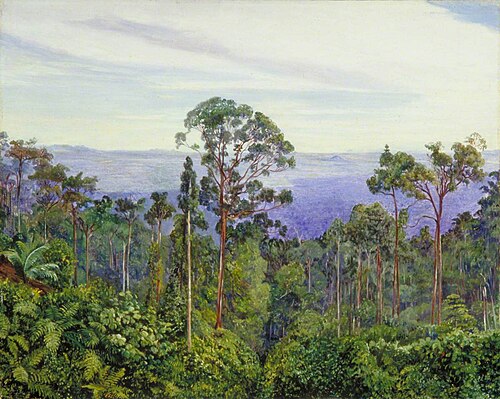 View of the Matang over the Great Swamp, Sarawak, Borneo, 1876, Marianne North