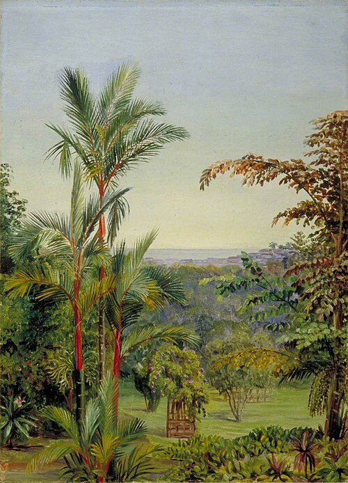 View of Singapore from Dr Little's Garden, 1876, Marianne North
