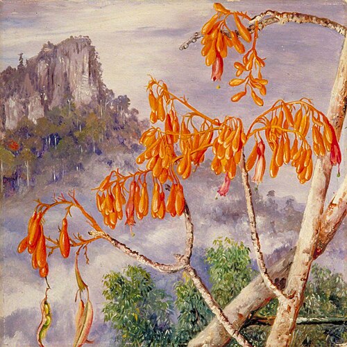 Limestone Mountains of Sarawak, Borneo, 1876, Marianne North