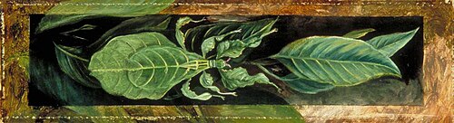 Leaf Insect, 1876, Marianne North