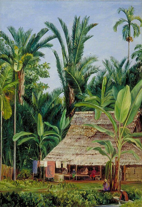 A Tailor's Shop in the Botanic Garden, Buitenzorg, Shaded by Sago Palms and Bananas, 1880, Marianne North