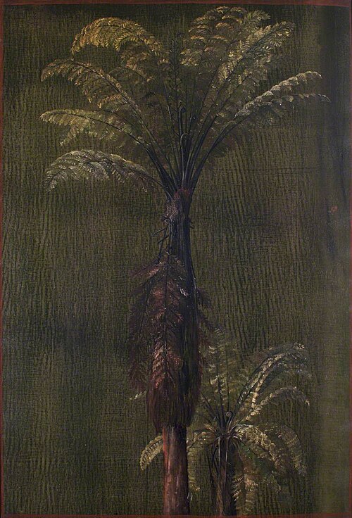 A New Zealand Tree Fern, 1880, Marianne North