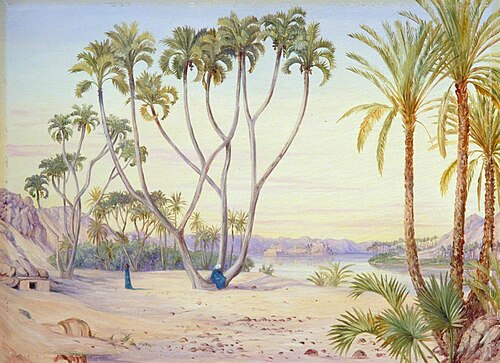 Doum and Date Palms on the Nile above Philae, Egypt, 1880, Marianne North