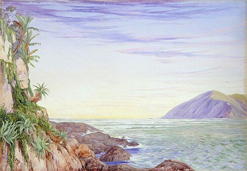 Looking Seaward from the Mouth of St John's River, Kaffraria, 1882, Marianne North