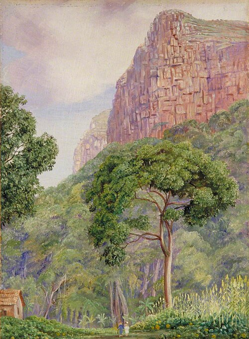 Undercliff and Its Two Fairies with Raintree, St John's, 1882, Marianne North