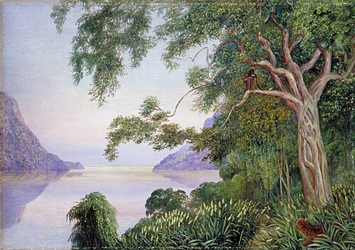 Mouth of the St John's River, Kaffraria, and Aboriginal Inhabitants, 1882, Marianne North