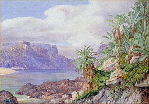 Looking Up Stream from the Mouth of the St John's River, Kaffraria, 1882, Marianne North