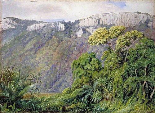 Vegetation on the St John's River, Kaffraria, 1882, Marianne North