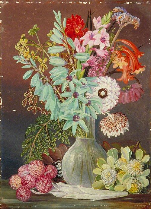 Green-Flowered Ixia and Other Cape Singularities, 1882, Marianne North