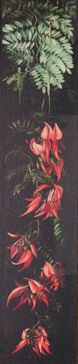 Red Flowering Plant on a Black Background*, 1882, Marianne North