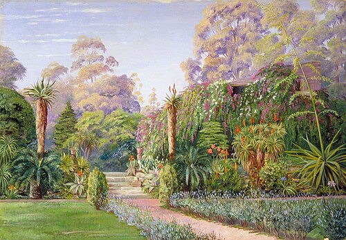 Scene in Dr Atherstone's Garden, Grahamstown, 1882, Marianne North