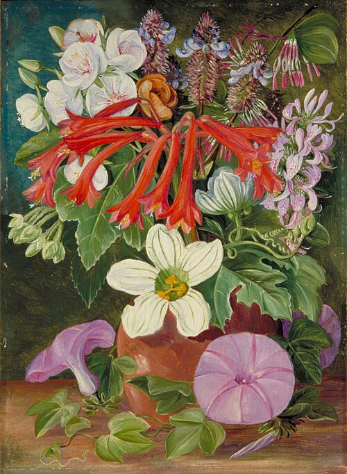 Group of Natal Flowers, 1882, Marianne North