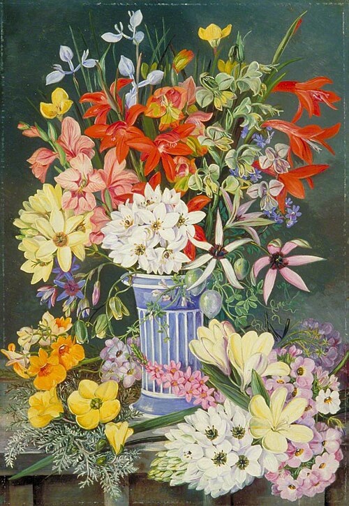 Old Dutch Vase and South African Flowers, 1882, Marianne North