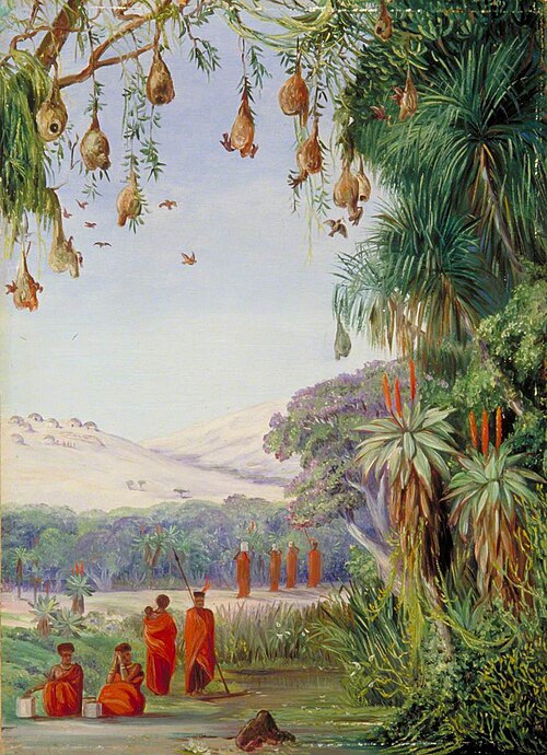 Vegetation of the Addo Bush with Kaffirs and Their Habitations, 1882, Marianne North