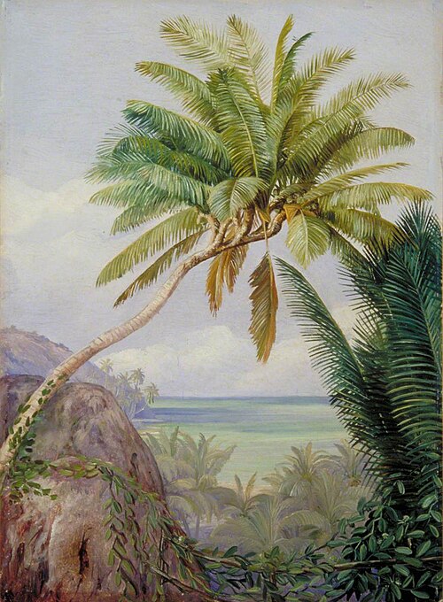 The Six-Headed Cocoanut Palm of Mahé, Seychelles, 1882, Marianne North