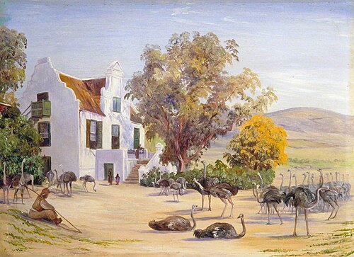 Ostrich Farming at Groot Post, South Africa, 1882, Marianne North