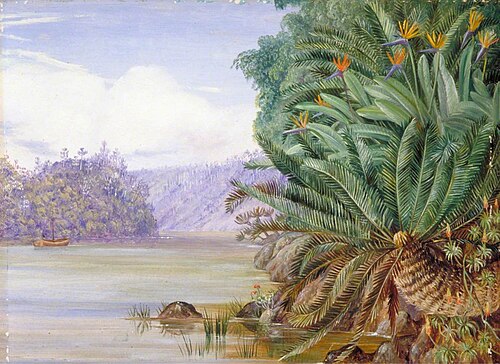 A View on the Knowie River, South Africa, 1882, Marianne North