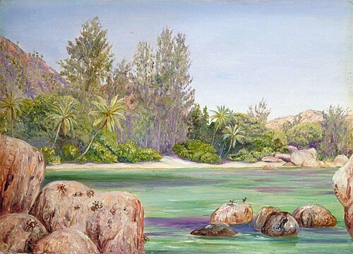Life on the Coast of Praslin, Seychelles, 1883, Marianne North