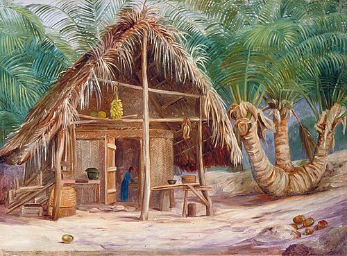 A Tripod Cocoanut, Mahé, Seychelles, 1883, Marianne North