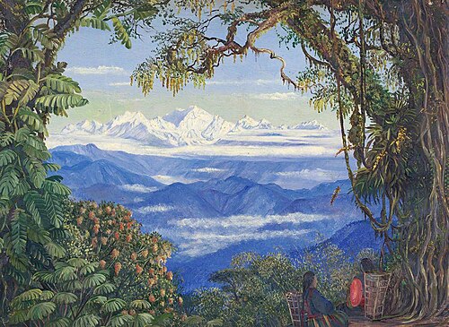 Mount Kanchenjunga from Darjeeling, West Bengal, India, 1878, Marianne North
