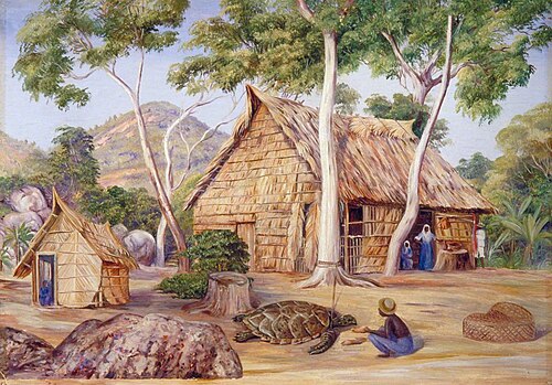 Emile's Palm House, Praslin, Seychelles, 1883, Marianne North