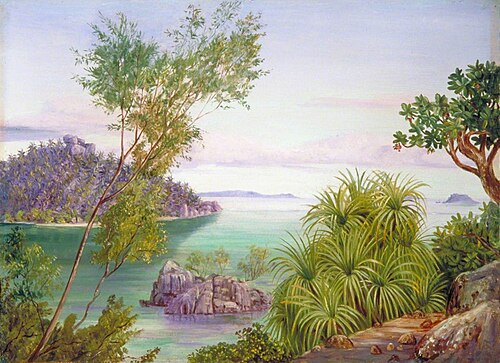 Round Island and Ile Aride from Long Island, Seychelles, 1883, Marianne North
