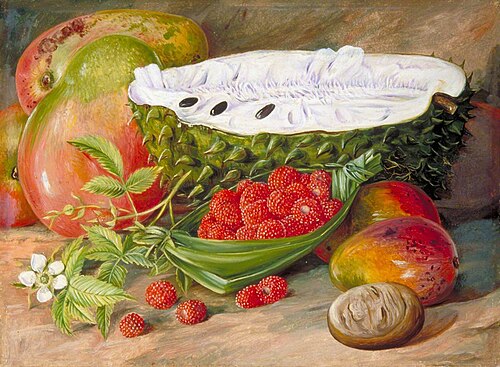 Fruit Grown in the Seychelles, 1883, Marianne North