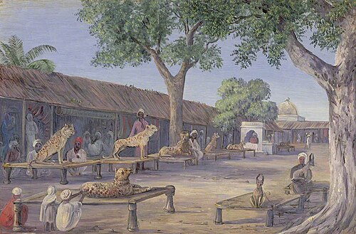 'Street of Hunting Cheetahs and Lynx. Ulwar. India 1878', 1878, Marianne North
