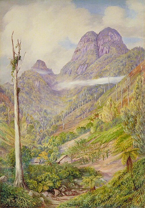 The Highest Point in Mahé with Dead Capucin Trees in the Valley, 1883, Marianne North