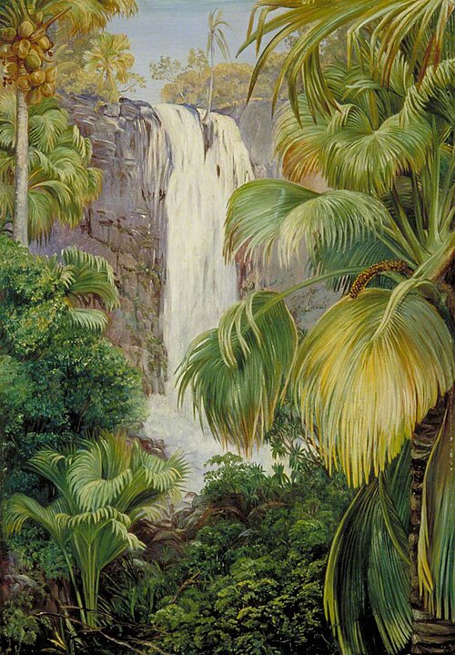 Waterfall in the Gorge of the Coco de Mer, Praslin, 1883, Marianne North