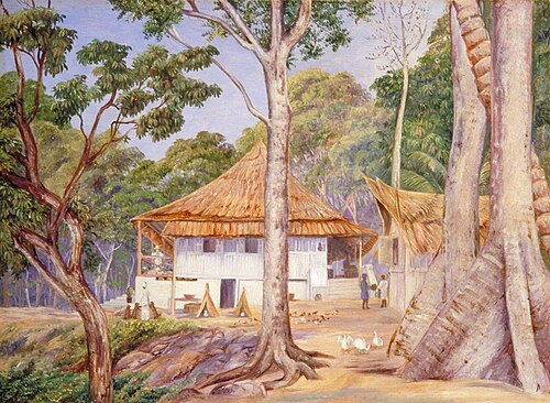 Dr and Mrs Hoad at Home in Praslin, Seychelles, 1883, Marianne North