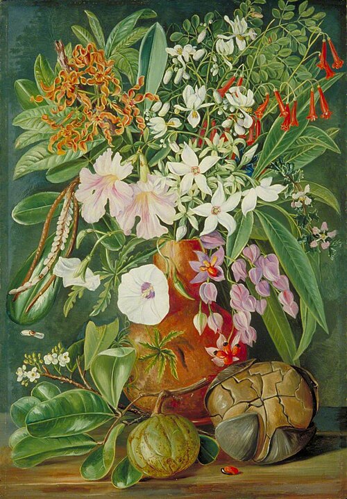 A Selection of Flowers, Wild and Cultivated, with Puzzle Nut, Mahé, 1883, Marianne North