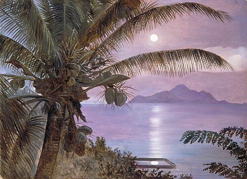 Moon Reflected in a Turtle Pool, Seychelles, 1883, Marianne North