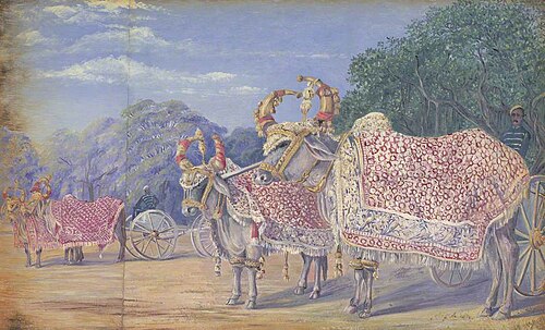 Decorated Oxen Drawing State Gun Carriages, Baroda, 1879, Marianne North