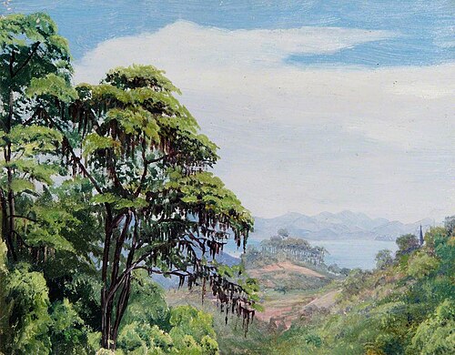 From Acqueduct Road, Rio, Brazil, , Marianne North