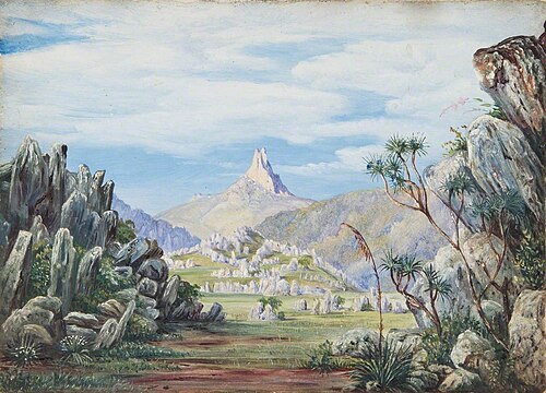 Rocky Landscape, , Marianne North