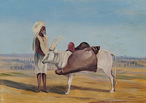Water Carrier, India, , Marianne North