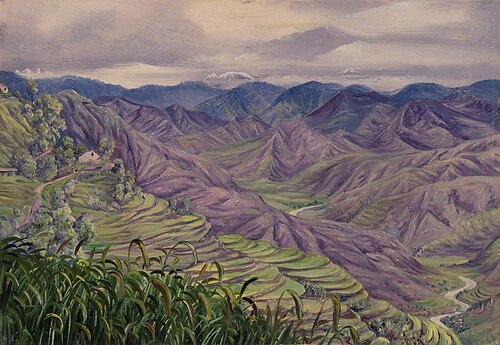 From Almorah, Kumaon, India, , Marianne North
