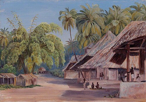Near Beipore, India, , Marianne North