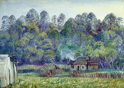 Our Camp on the Bunya Mountains, Queensland, , Marianne North